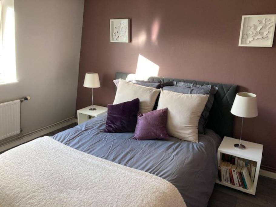 Agreable Et Spacieuse Maison Centre Ville Saint-Omer Dış mekan fotoğraf